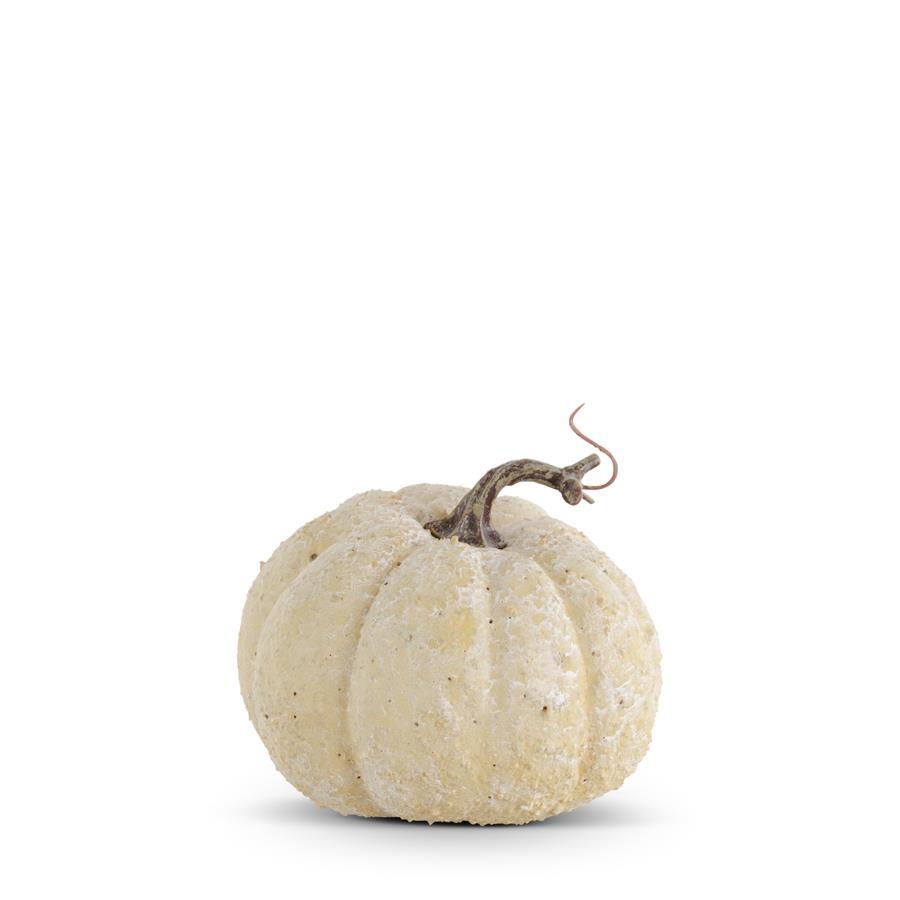 5.25” Whitewashed Textured Pumpkin