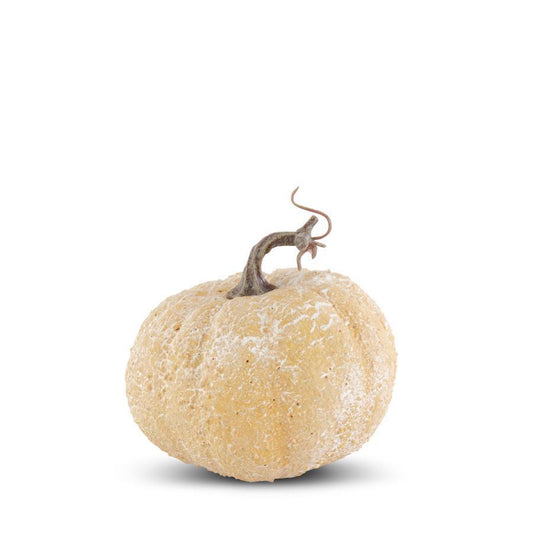 5.25” Whitewashed Textured Pumpkin